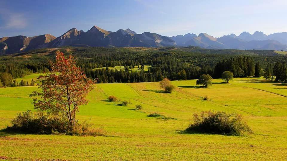Pokoje Goscinne Panorama Rzepiska Exterior foto